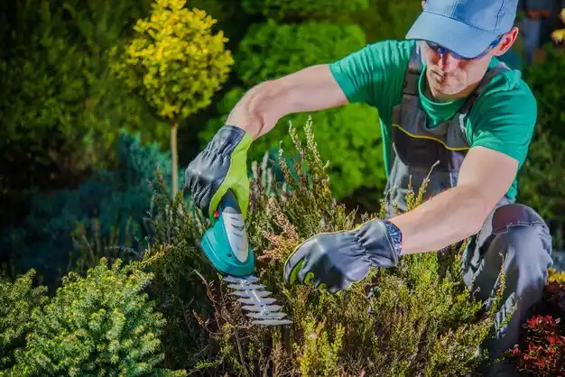 landscaping services Harrisville